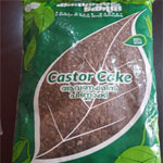 castor_cake_thumb